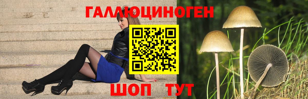 Галлюциногенные грибы Magic Shrooms Ижевск